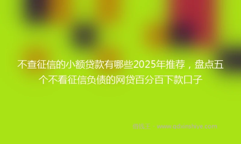 不查征信的小额贷款有哪些2025年推荐，盘点五个不看征信负债的网贷百分百下款口子