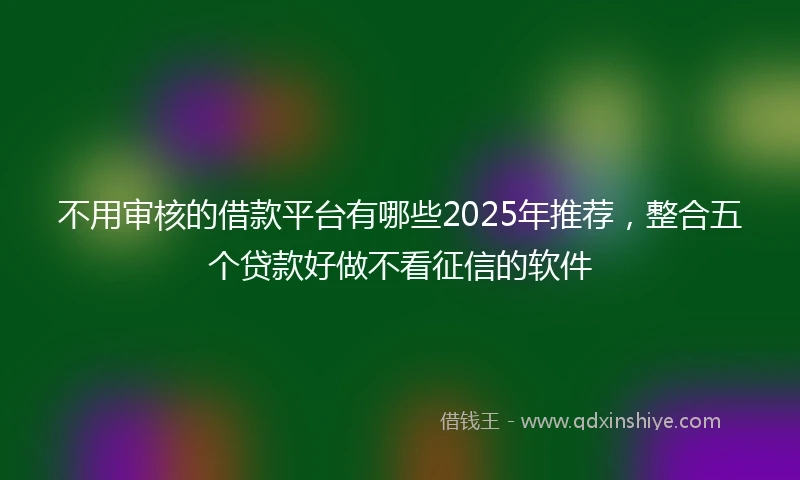 不用审核的借款平台有哪些2025年推荐，整合五个贷款好做不看征信的软件