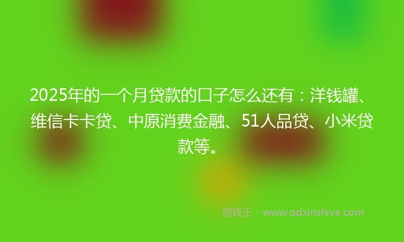 2025年的一个月贷款的口子怎么还有：洋钱罐、维信卡卡贷、中原消费金融、51人品贷、小米贷款等。