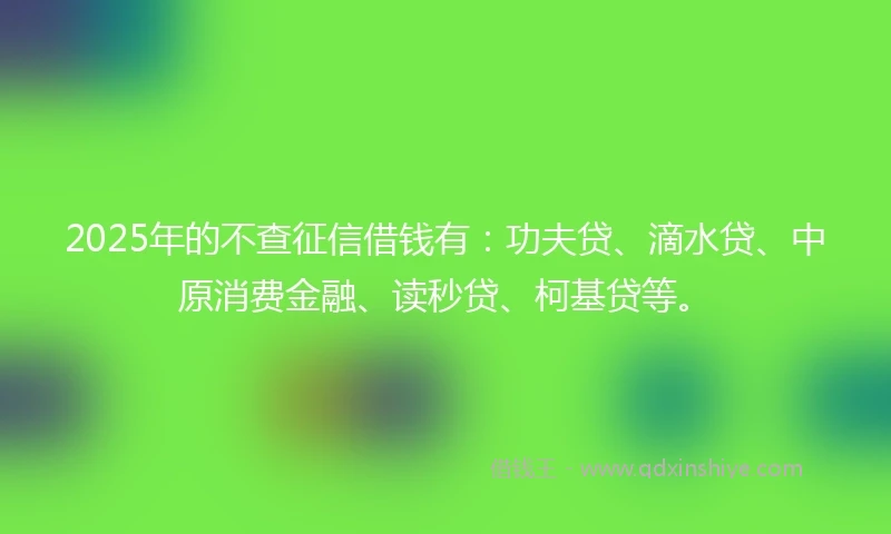 2025年的不查征信借钱有：功夫贷、滴水贷、中原消费金融、读秒贷、柯基贷等。