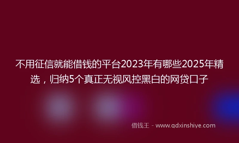 不用征信就能借钱的平台2023年有哪些2025年精选，归纳5个真正无视风控黑白的网贷口子