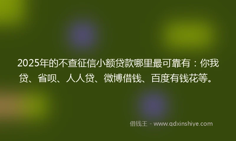 2025年的不查征信小额贷款哪里最可靠有：你我贷、省呗、人人贷、微博借钱、百度有钱花等。