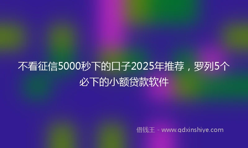 不看征信5000秒下的口子2025年推荐，罗列5个必下的小额贷款软件