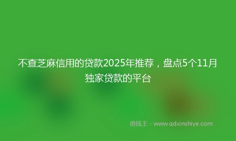 不查芝麻信用的贷款2025年推荐，盘点5个11月独家贷款的平台