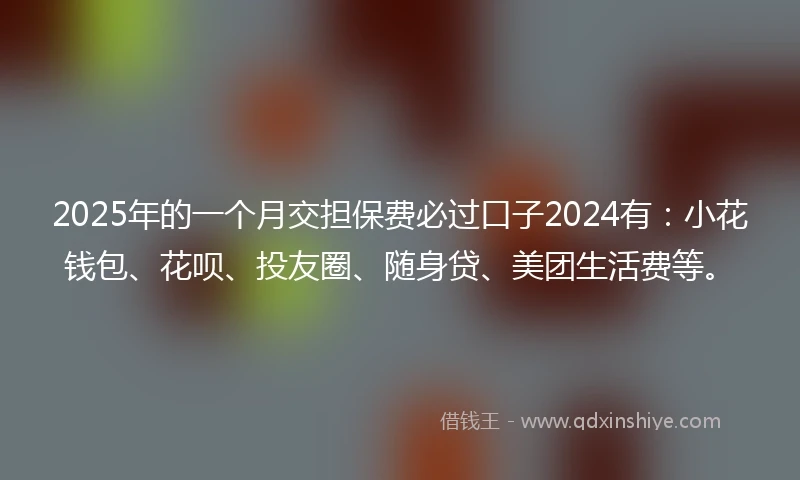 2025年的一个月交担保费必过口子2024有：小花钱包、花呗、投友圈、随身贷、美团生活费等。
