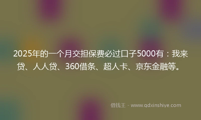2025年的一个月交担保费必过口子5000有：我来贷、人人贷、360借条、超人卡、京东金融等。