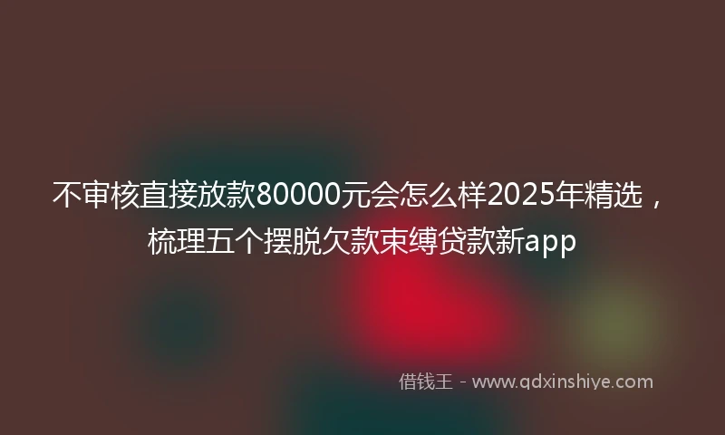 不审核直接放款80000元会怎么样2025年精选，梳理五个摆脱欠款束缚贷款新app