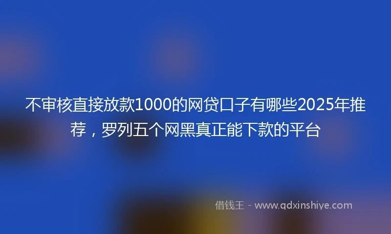 不审核直接放款1000的网贷口子有哪些2025年推荐，罗列五个网黑真正能下款的平台