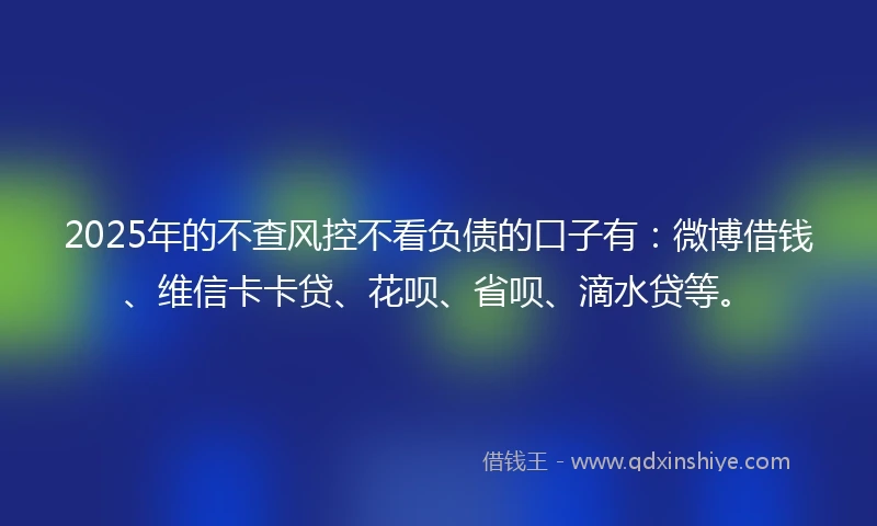 2025年的不查风控不看负债的口子有：微博借钱、维信卡卡贷、花呗、省呗、滴水贷等。