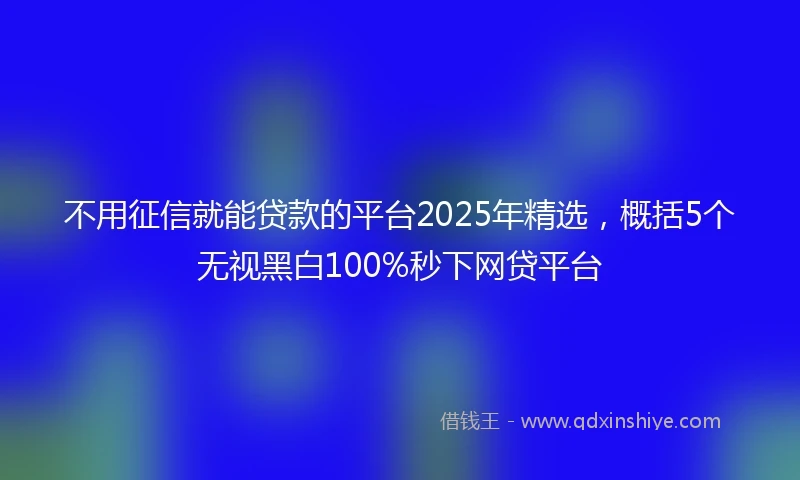 不用征信就能贷款的平台2025年精选，概括5个无视黑白100%秒下网贷平台