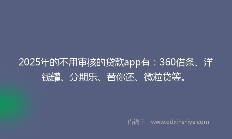 2025年的不用审核的贷款app有：360借条、洋钱罐、分期乐、替你还、微粒贷等。