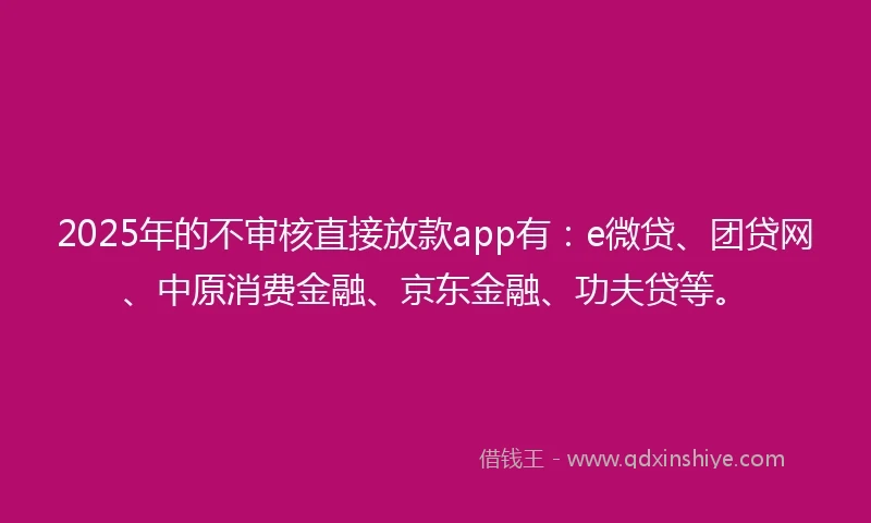 2025年的不审核直接放款app有：e微贷、团贷网、中原消费金融、京东金融、功夫贷等。