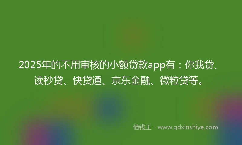 2025年的不用审核的小额贷款app有：你我贷、读秒贷、快贷通、京东金融、微粒贷等。