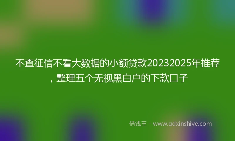 不查征信不看大数据的小额贷款20232025年推荐，整理五个无视黑白户的下款口子