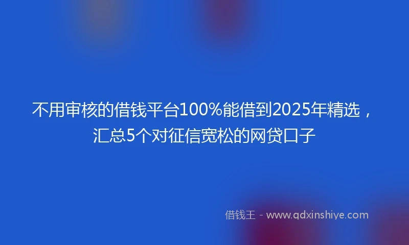 不用审核的借钱平台100%能借到2025年精选，汇总5个对征信宽松的网贷口子