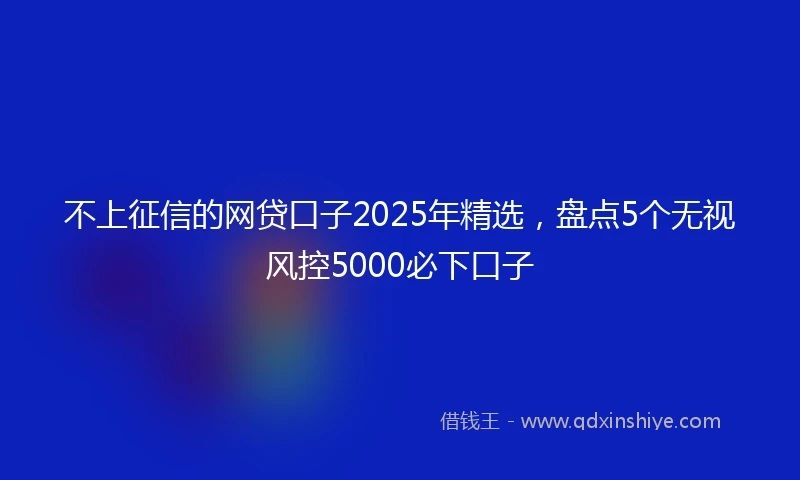 不上征信的网贷口子2025年精选，盘点5个无视风控5000必下口子