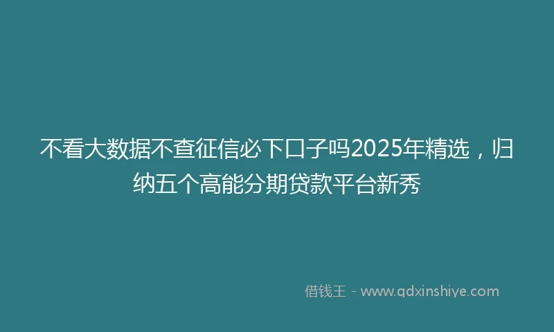 不看大数据不查征信必下口子吗2025年精选，归纳五个高能分期贷款平台新秀