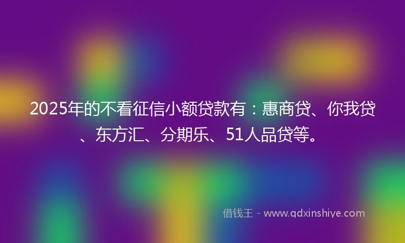 2025年的不看征信小额贷款有：惠商贷、你我贷、东方汇、分期乐、51人品贷等。