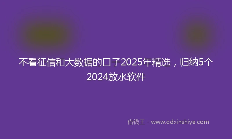 不看征信和大数据的口子2025年精选，归纳5个2024放水软件
