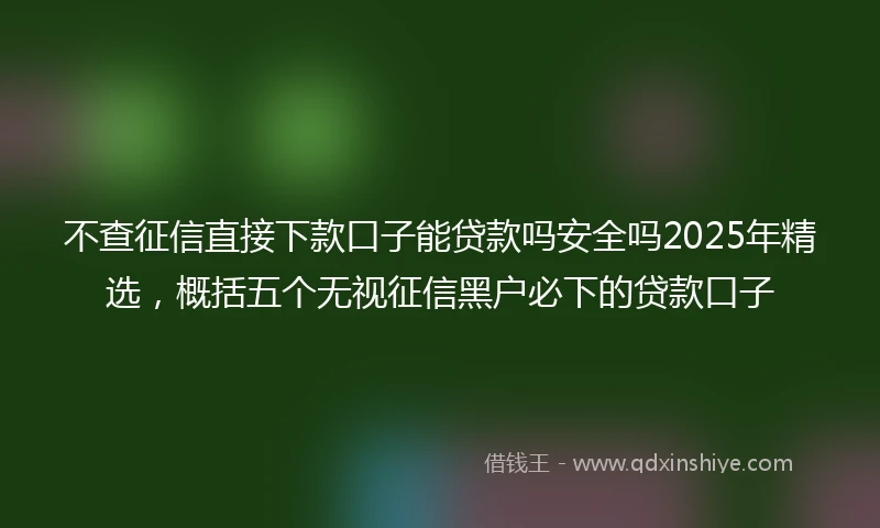 不查征信直接下款口子能贷款吗安全吗2025年精选，概括五个无视征信黑户必下的贷款口子