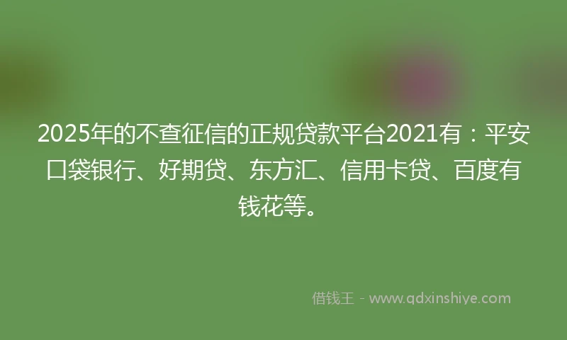2025年的不查征信的正规贷款平台2021有：平安口袋银行、好期贷、东方汇、信用卡贷、百度有钱花等。