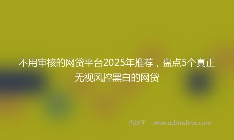 不用审核的网贷平台2025年推荐，盘点5个真正无视风控黑白的网贷
