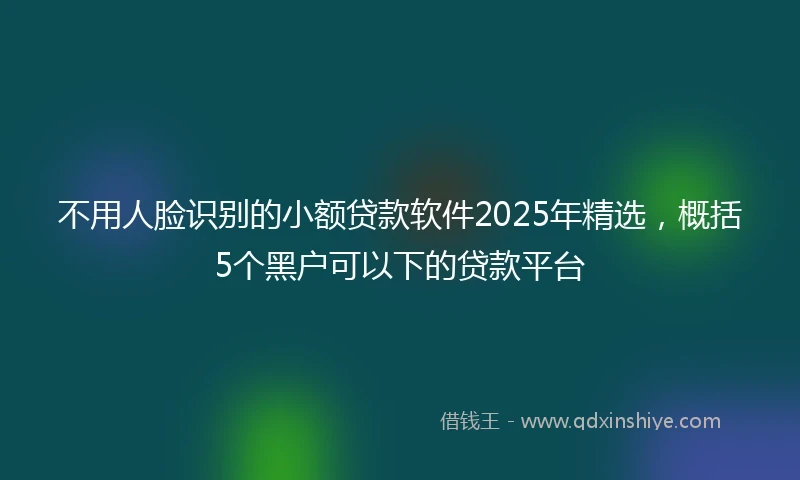 不用人脸识别的小额贷款软件2025年精选，概括5个黑户可以下的贷款平台