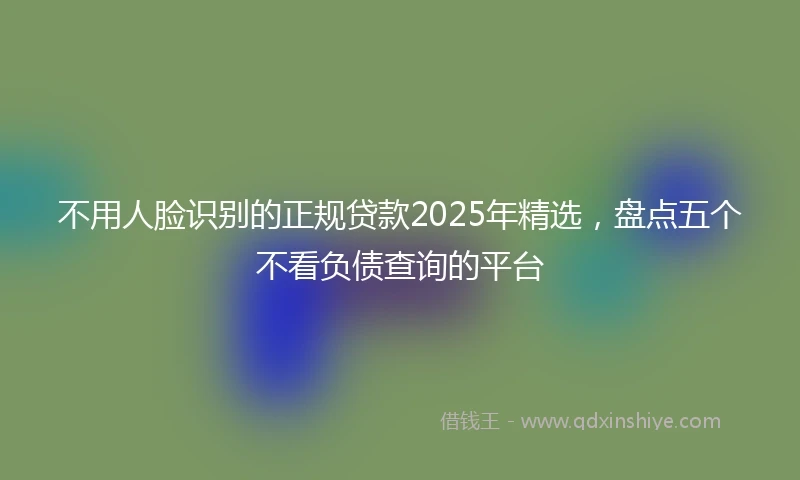 不用人脸识别的正规贷款2025年精选，盘点五个不看负债查询的平台
