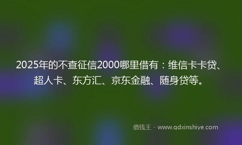 2025年的不查征信2000哪里借有：维信卡卡贷、超人卡、东方汇、京东金融、随身贷等。