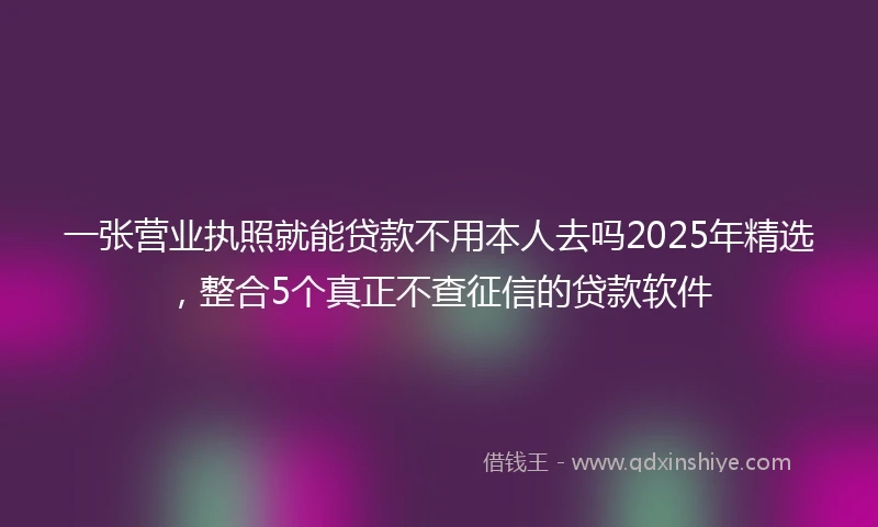 一张营业执照就能贷款不用本人去吗2025年精选，整合5个真正不查征信的贷款软件