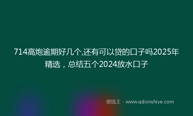 714高炮逾期好几个,还有可以贷的口子吗2025年精选，总结五个2024放水口子