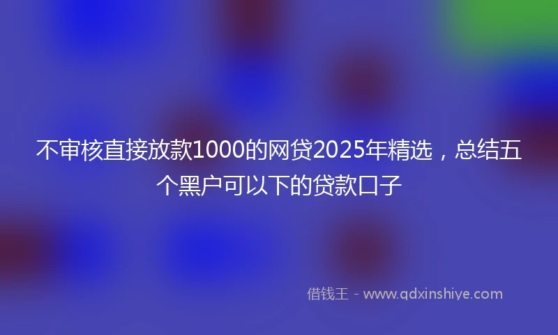 不审核直接放款1000的网贷2025年精选，总结五个黑户可以下的贷款口子