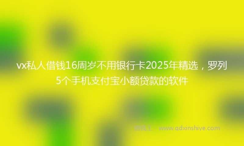 vx私人借钱16周岁不用银行卡2025年精选，罗列5个手机支付宝小额贷款的软件