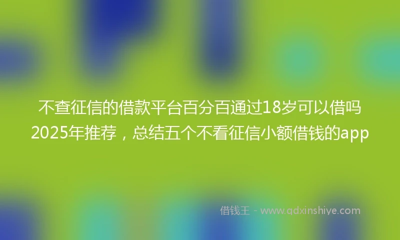 不查征信的借款平台百分百通过18岁可以借吗2025年推荐，总结五个不看征信小额借钱的app