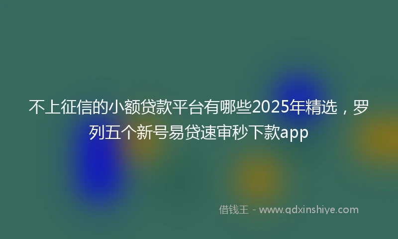 不上征信的小额贷款平台有哪些2025年精选，罗列五个新号易贷速审秒下款app