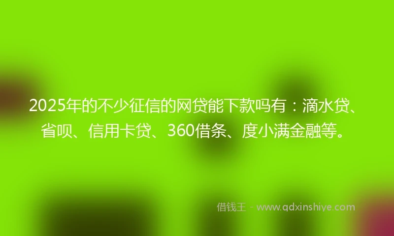 2025年的不少征信的网贷能下款吗有：滴水贷、省呗、信用卡贷、360借条、度小满金融等。