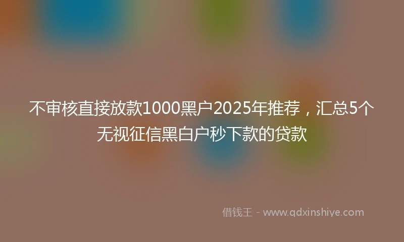 不审核直接放款1000黑户2025年推荐，汇总5个无视征信黑白户秒下款的贷款