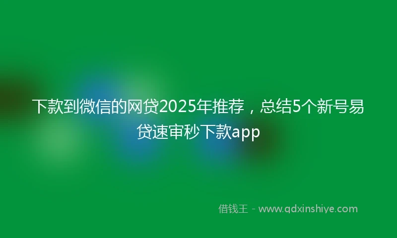 下款到微信的网贷2025年推荐，总结5个新号易贷速审秒下款app