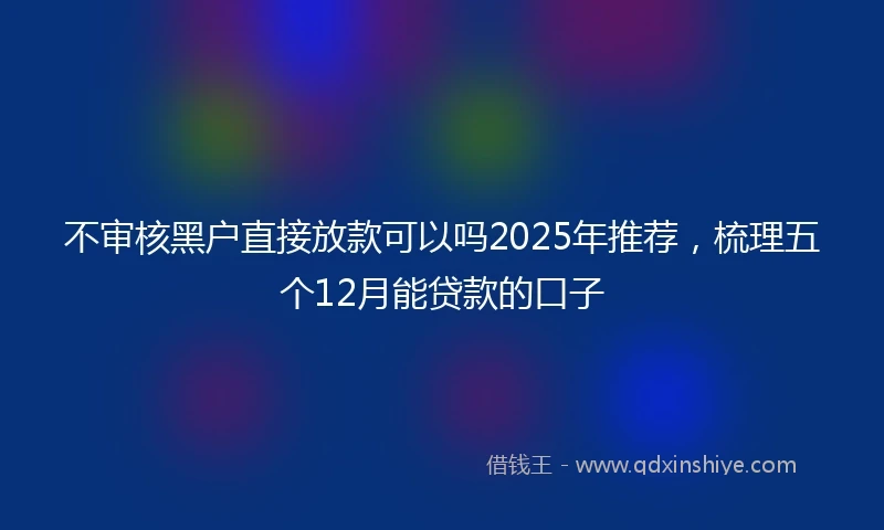 不审核黑户直接放款可以吗2025年推荐，梳理五个12月能贷款的口子