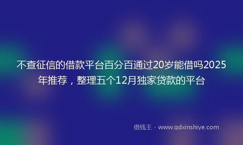 不查征信的借款平台百分百通过20岁能借吗2025年推荐，整理五个12月独家贷款的平台