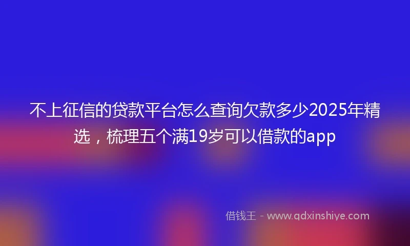 不上征信的贷款平台怎么查询欠款多少2025年精选，梳理五个满19岁可以借款的app
