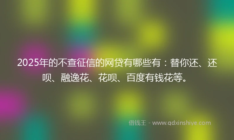 2025年的不查征信的网贷有哪些有：替你还、还呗、融逸花、花呗、百度有钱花等。