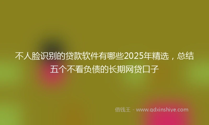 不人脸识别的贷款软件有哪些2025年精选，总结五个不看负债的长期网贷口子