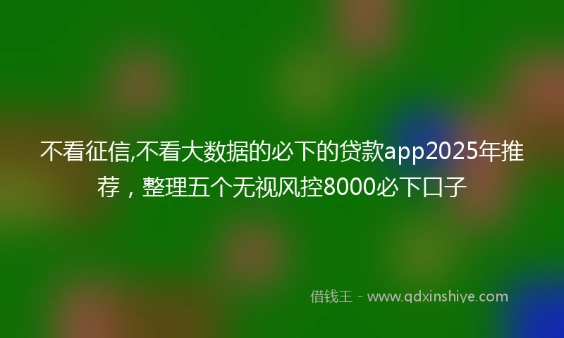 不看征信,不看大数据的必下的贷款app2025年推荐，整理五个无视风控8000必下口子