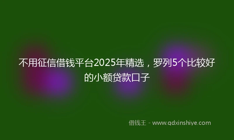 不用征信借钱平台2025年精选，罗列5个比较好的小额贷款口子