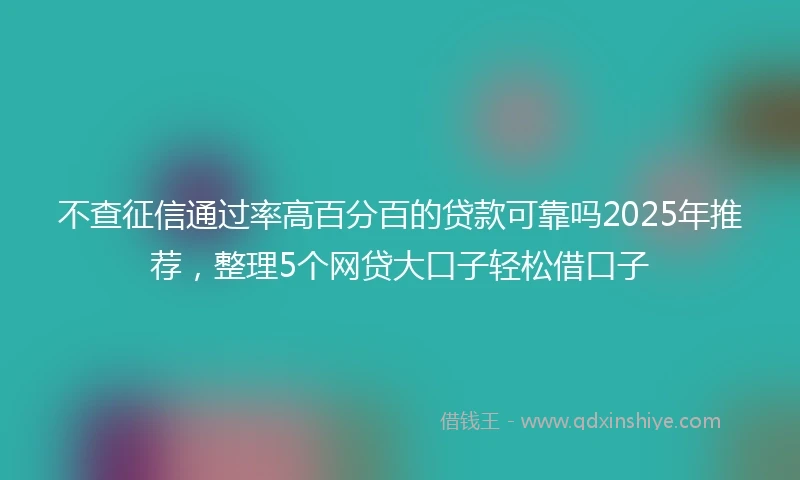 不查征信通过率高百分百的贷款可靠吗2025年推荐，整理5个网贷大口子轻松借口子