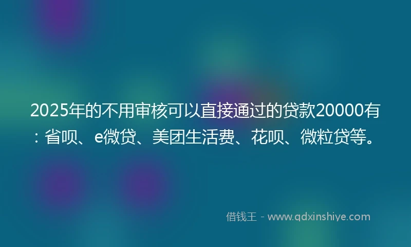 2025年的不用审核可以直接通过的贷款20000有：省呗、e微贷、美团生活费、花呗、微粒贷等。