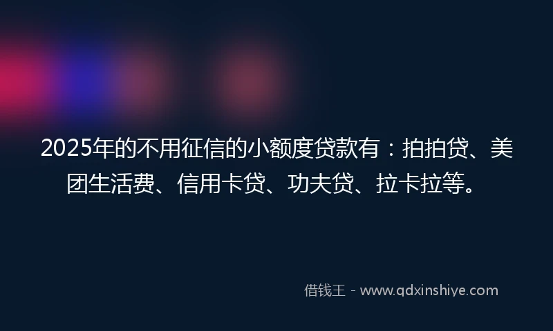 2025年的不用征信的小额度贷款有：拍拍贷、美团生活费、信用卡贷、功夫贷、拉卡拉等。