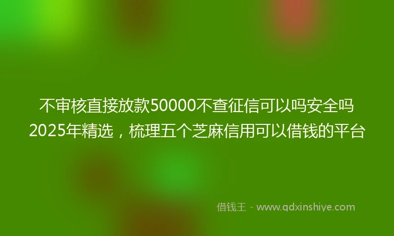 不审核直接放款50000不查征信可以吗安全吗2025年精选，梳理五个芝麻信用可以借钱的平台