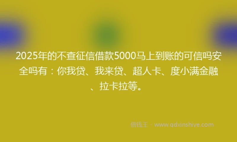 2025年的不查征信借款5000马上到账的可信吗安全吗有：你我贷、我来贷、超人卡、度小满金融、拉卡拉等。